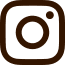 Instagram ícone